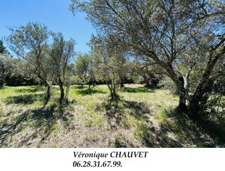  Terrain à vendre 725 m²