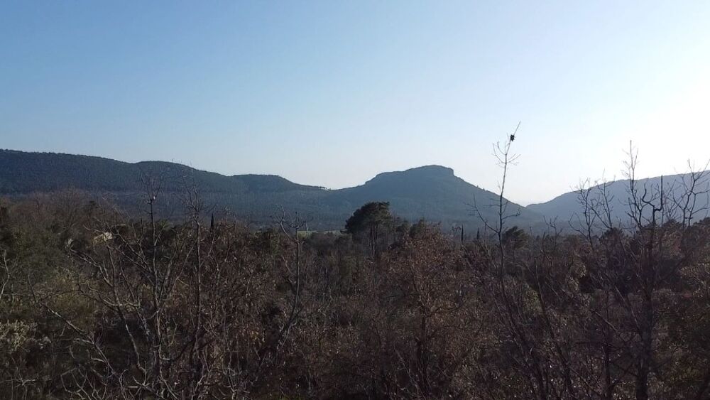 vente Terrain - 9800 m² Bagnols-en-Forêt (83600)