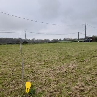  Terrain à vendre 2500 m²
