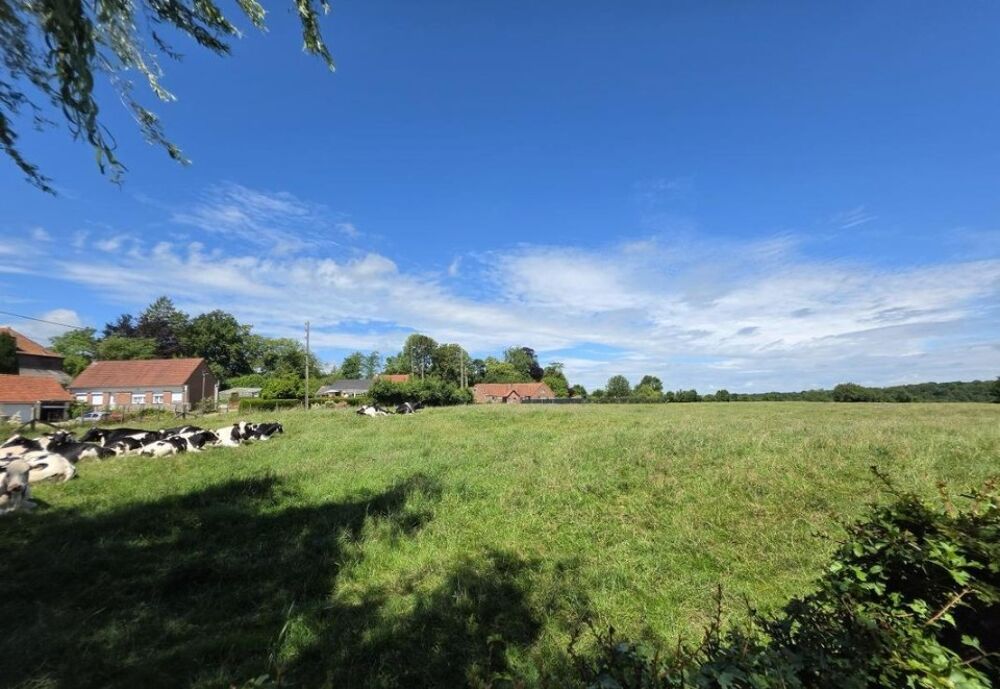vente Terrain - 1370 m² Ligny-Saint-Flochel (62127)