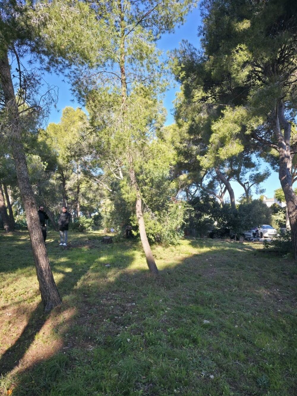 Maison de 5 pièces (130 m²) à vendre à Sausset-les-Pins<....