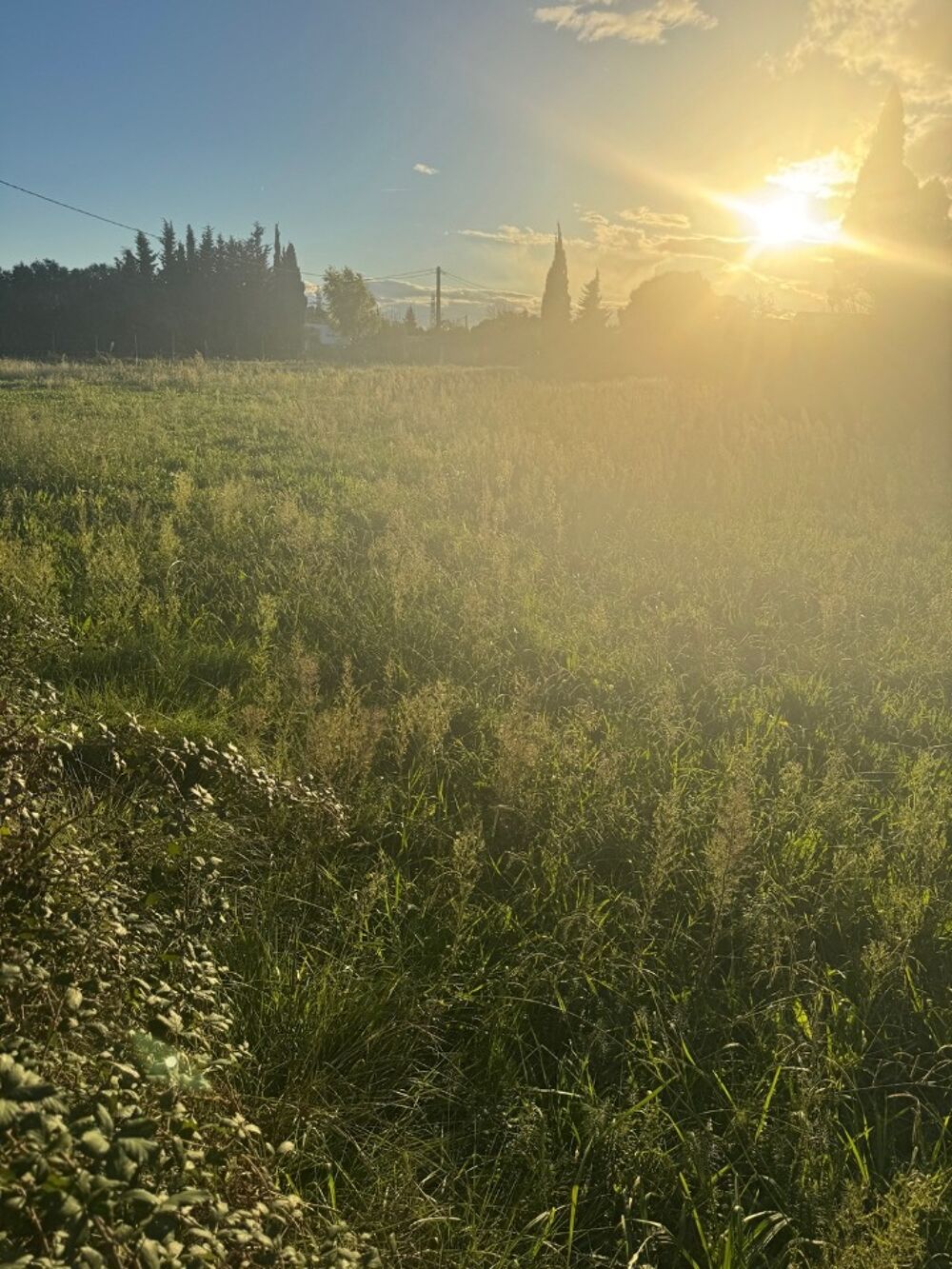 vente Terrain - 320 m² Istres (13800)