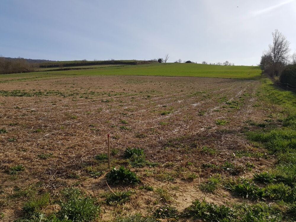 vente Terrain - 893 m² Vaudreuille (31250)