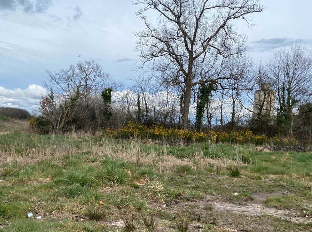 vente Maison - 3 pièce(s) - 85 m² Breuillet (17920)