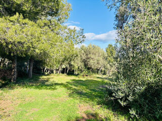  Terrain à vendre 649 m²
