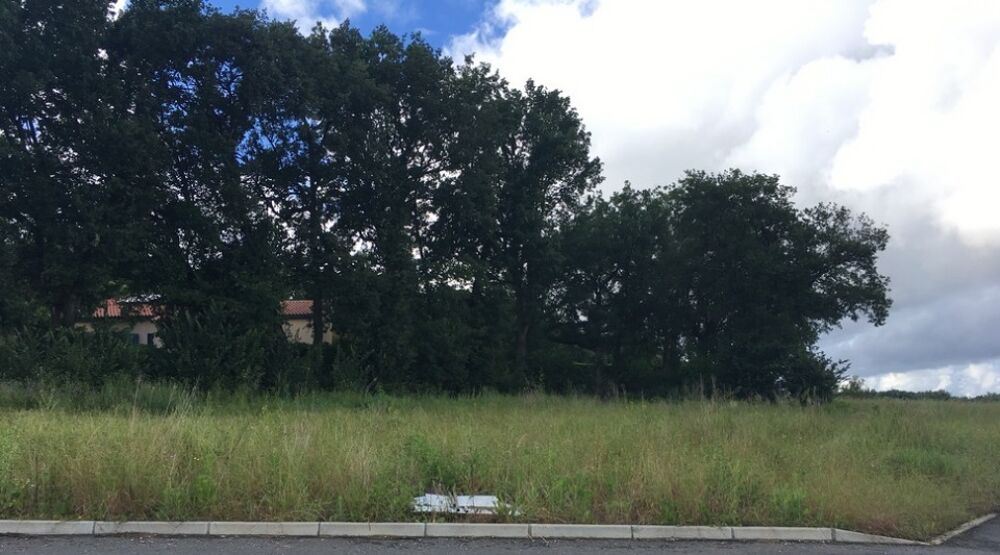 vente Terrain - 1568 m² Lapeyrouse-Fossat (31180)