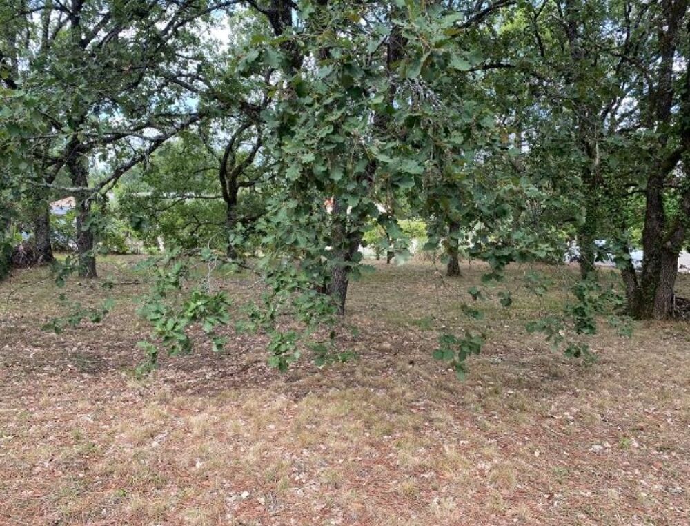 vente Terrain - 901 m² Bouloc (31620)
