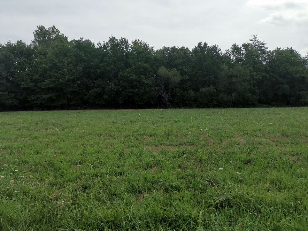 vente Terrain - 1000 m² Terrasson-Lavilledieu (24120)