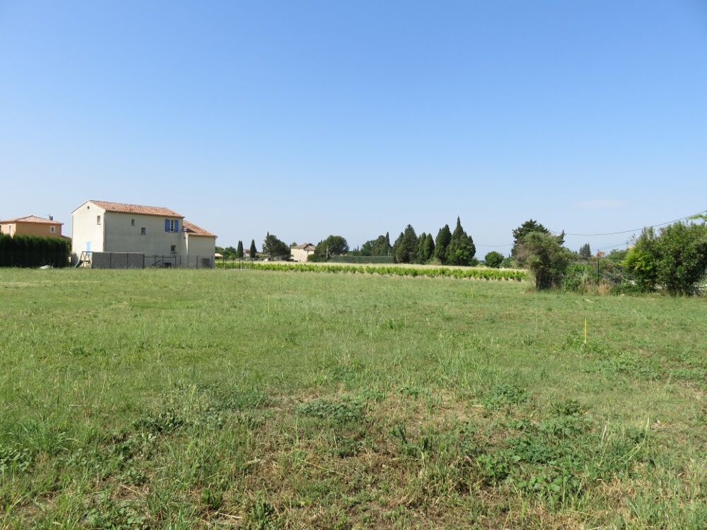 vente Terrain - 1173 m² Violès (84150)