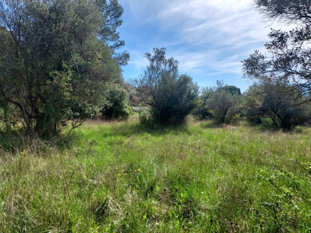 vente Terrain - 1376 m² Camps-la-Source (83170)