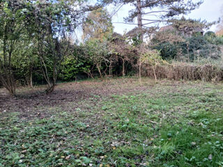  Terrain � vendre 590 m�