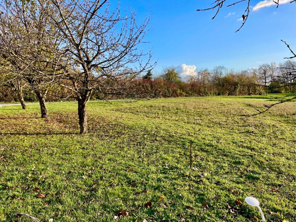 vente Terrain - 600 m² Genté (16130)