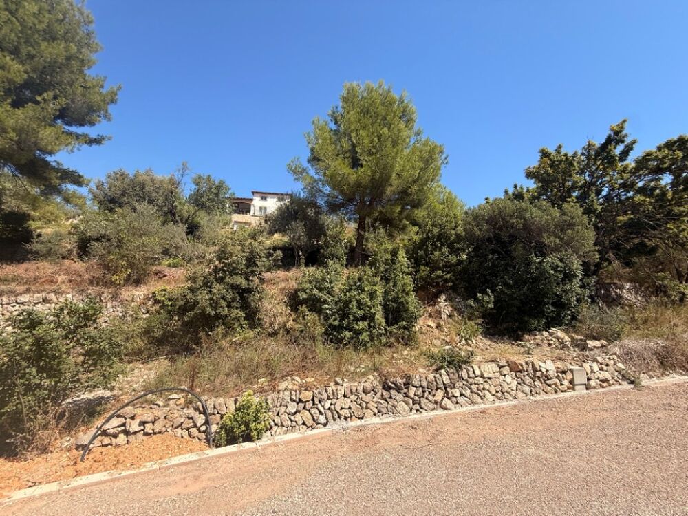vente Terrain - 986 m² La Valette-du-Var (83160)