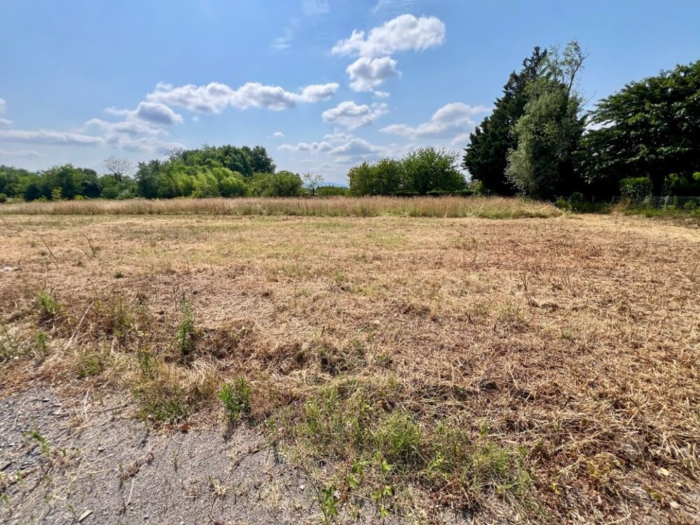 vente Maison - 4 pièce(s) - 117 m² Replonges (01750)