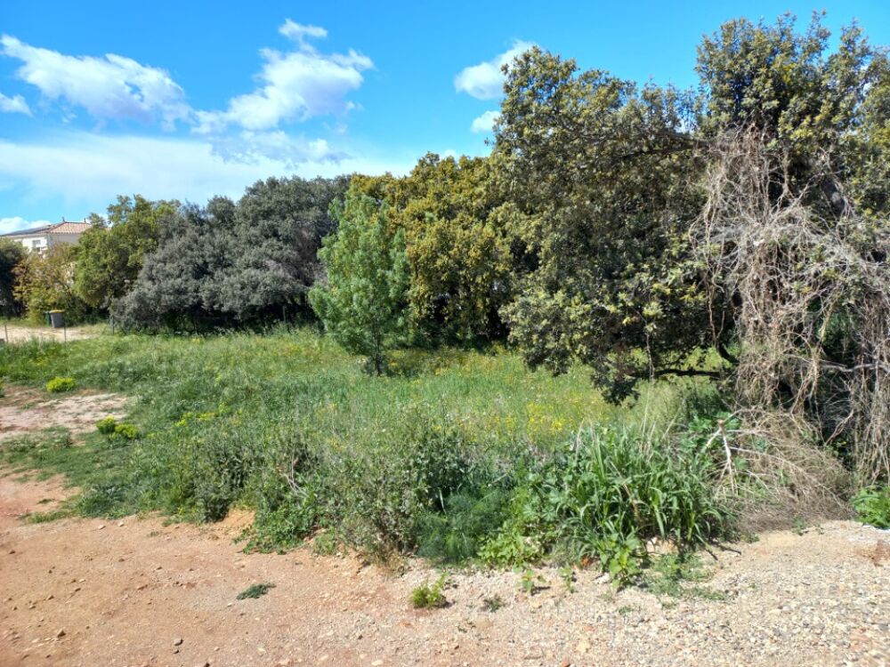 vente Terrain - 500 m² Plan-de-Cuques (13380)