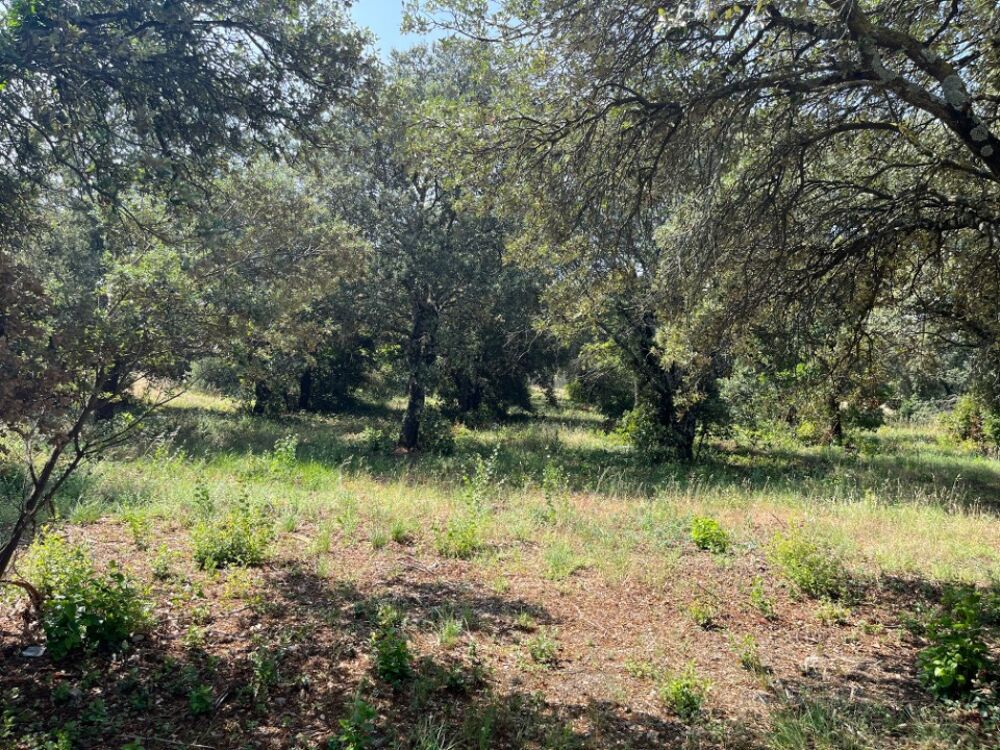 vente Terrain - 1700 m² La Baume-de-Transit (26790)