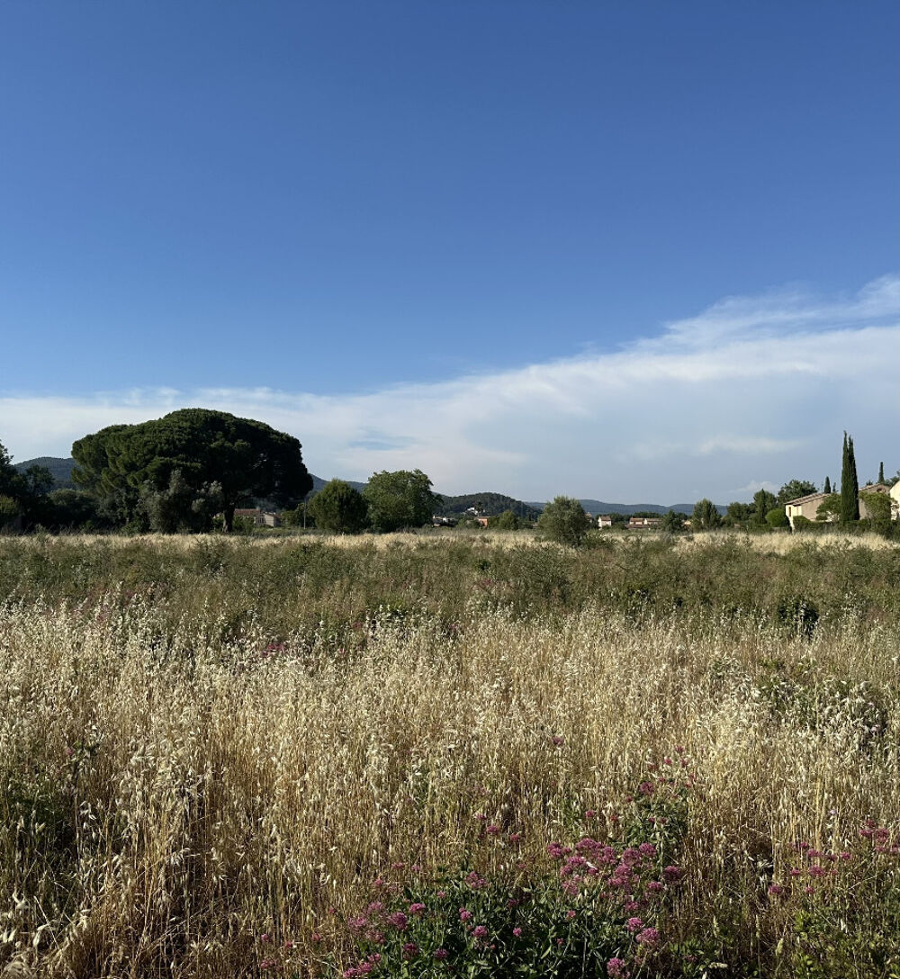 vente Terrain - 265 m² Cuers (83390)