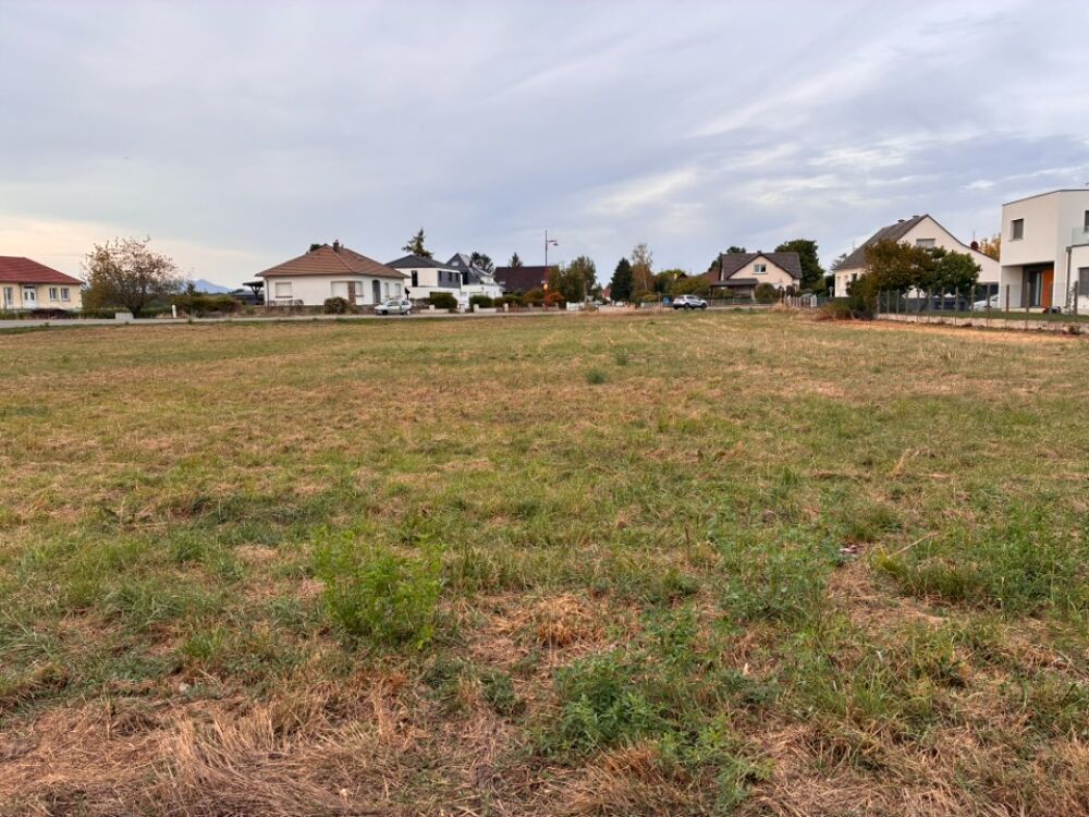 vente Terrain - 558 m² Andolsheim (68280)