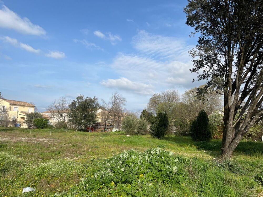 vente Terrain - 353 m² Bollène (84500)