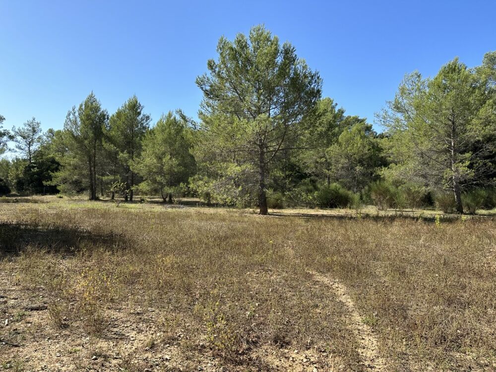 vente Maison - 4 pièce(s) - 83 m² Méounes-lès-Montrieux (83136)