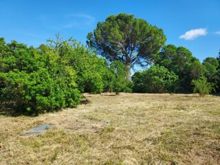  Terrain à vendre 500 m²