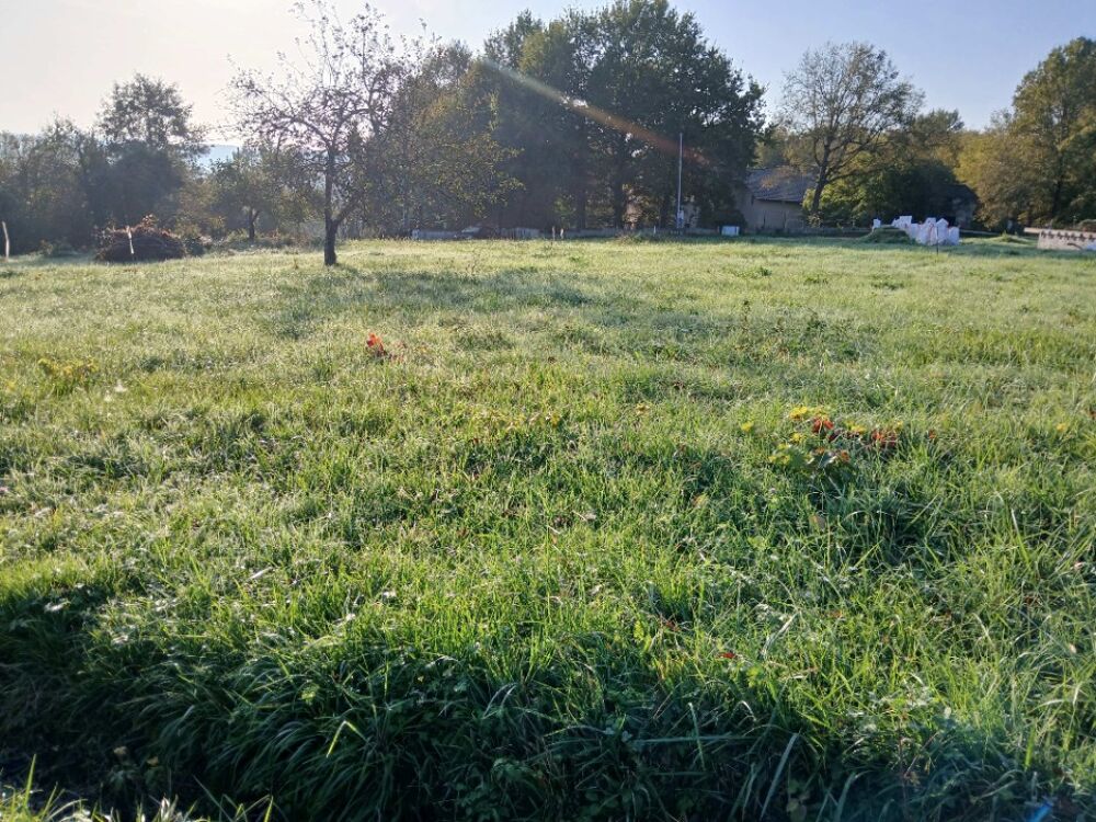 vente Maison - 4 pièce(s) - 85 m² Saint-Astier (24110)