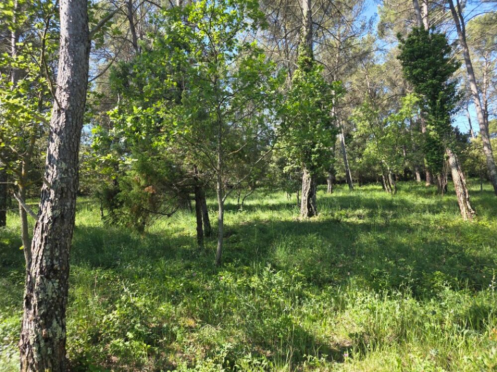 vente Terrain - 847 m² Garéoult (83136)
