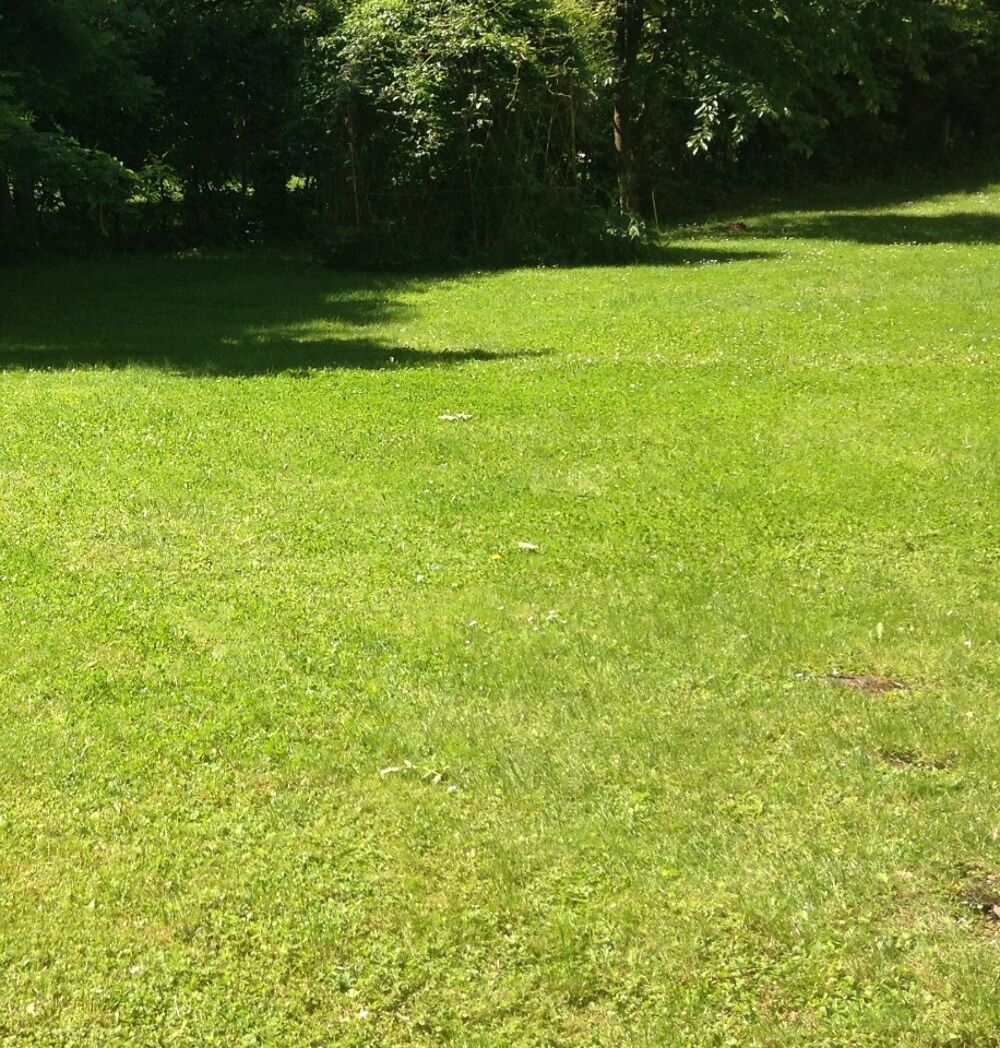 Maison neuve 151 m² sur terrain de 530 m² - Parc naturel....