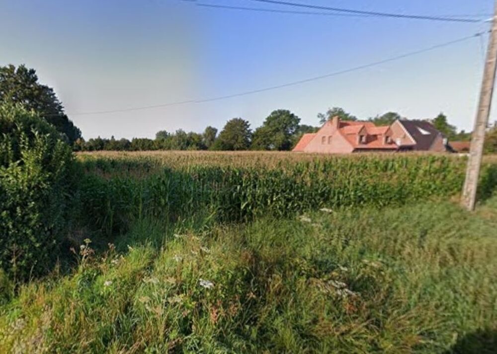 vente Maison - 4 pièce(s) - 103 m² Beuvry-la-Forêt (59310)