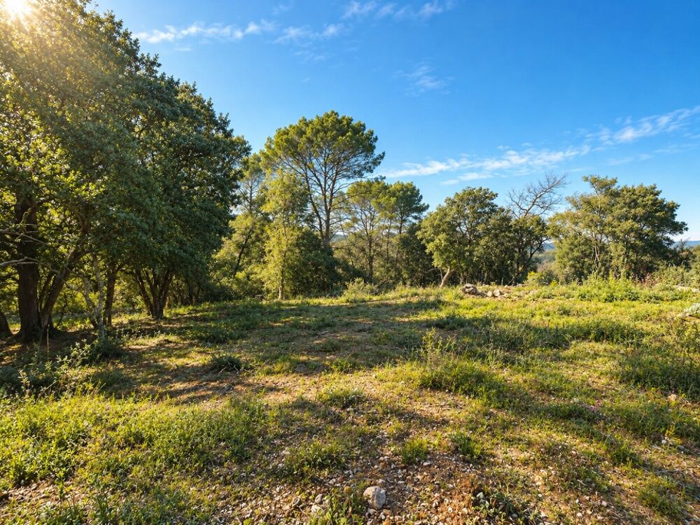 vente Terrain - 1330 m² Le Thoronet (83340)