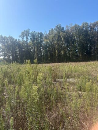  Terrain � vendre 850 m�