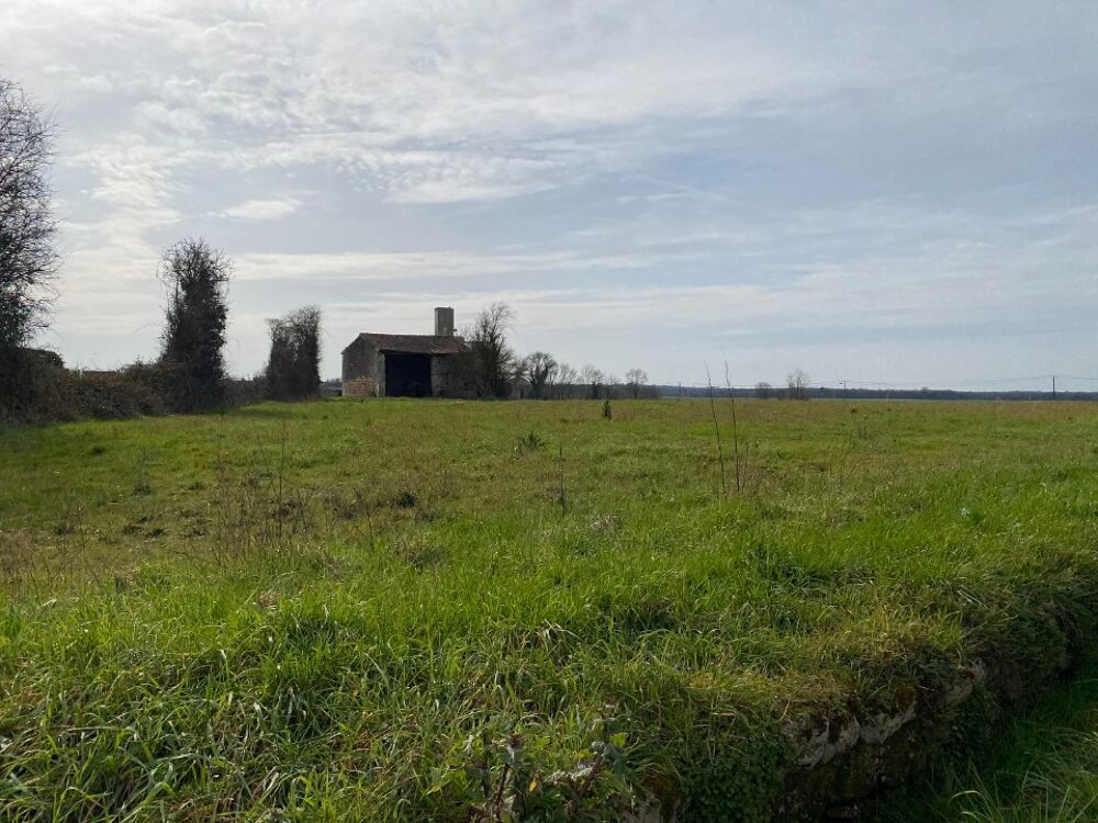 vente Terrain - 753 m² Plassay (17250)