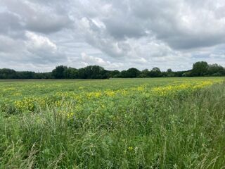  Terrain  vendre 672 m