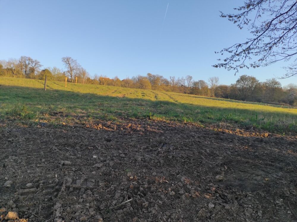 vente Terrain - 780 m² Villers-sur-Mer (14640)