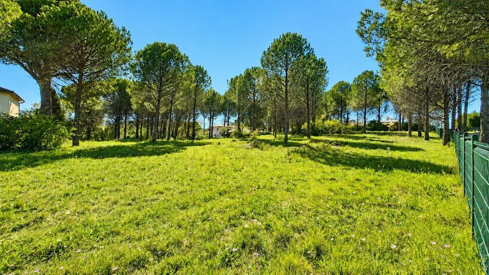 vente Terrain - 500 m² Roquebrune-sur-Argens (83520)