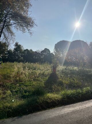  Terrain 504 m� Albi