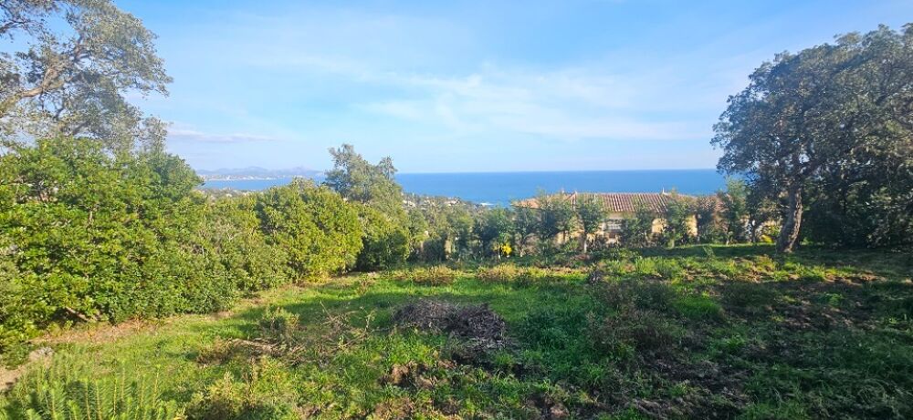 vente Terrain - 1826 m² Les Issambres (83380)