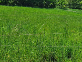  Terrain � vendre 985 m�