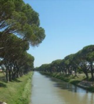  Maison 2 pi�ces 50 m� Sall�les-d'aude