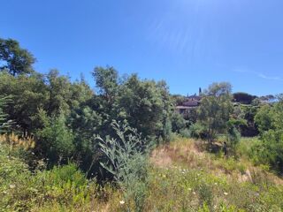  Terrain à vendre 1568 m²