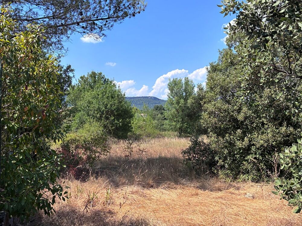 vente Terrain - 425 m² Valflaunès (34270)
