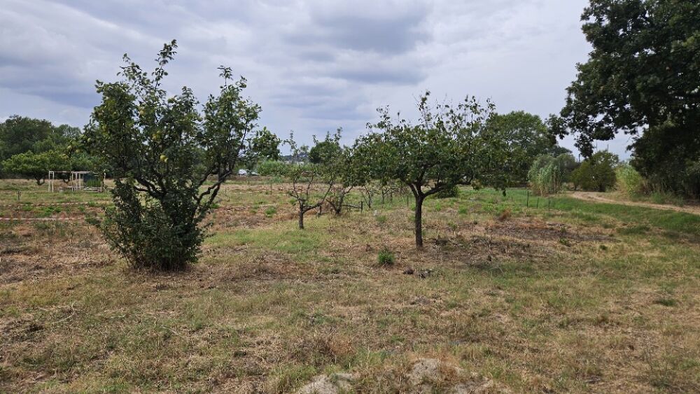 vente Terrain - 415 m² Fréjus (83600)