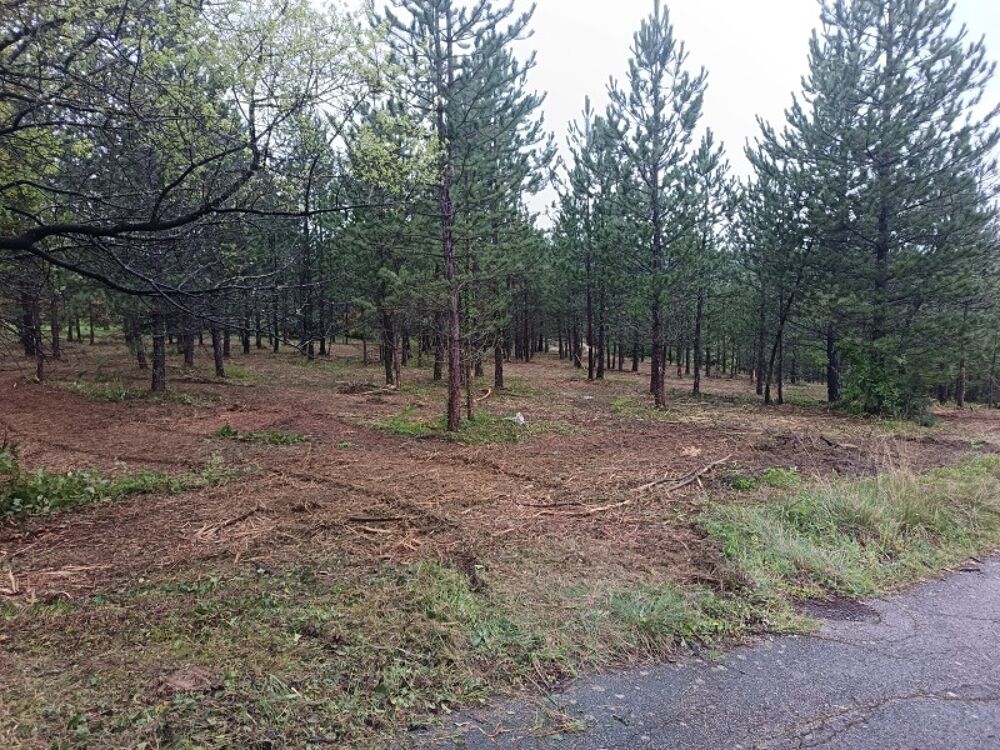 vente Terrain - 501 m² Mollans-sur-Ouvèze (26170)