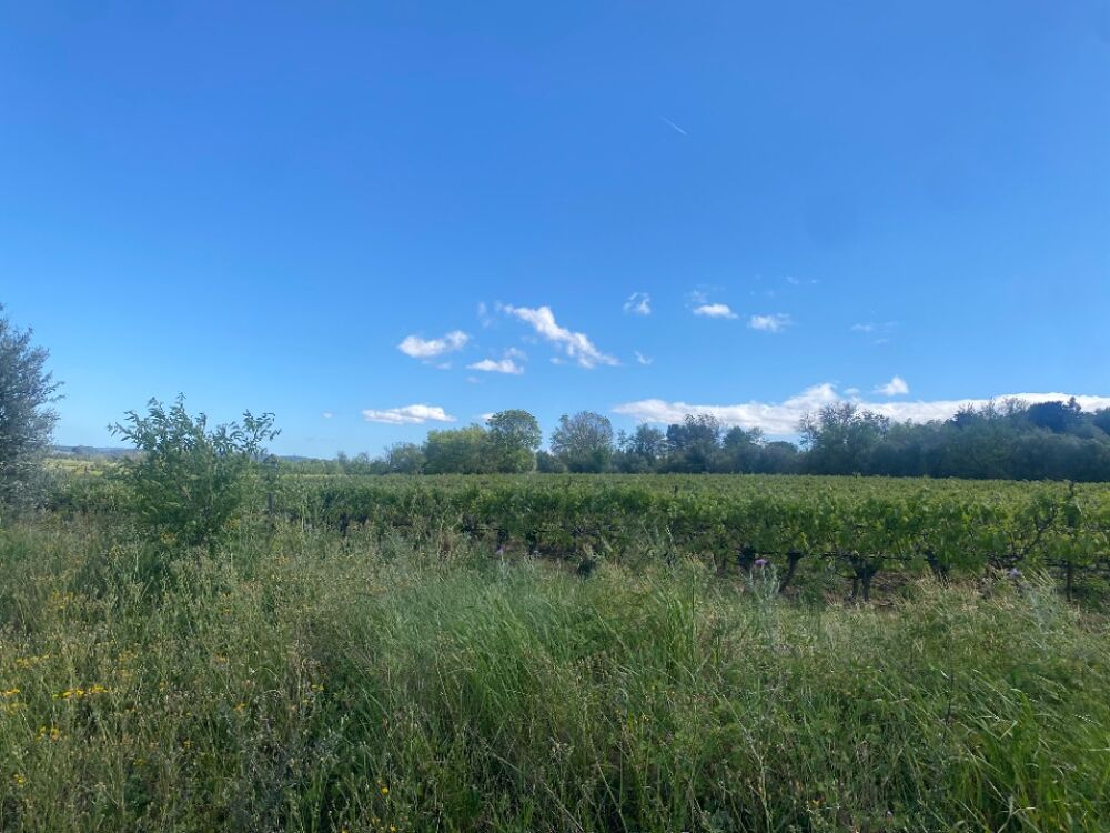 vente Terrain - 870 m² Ginestas (11120)