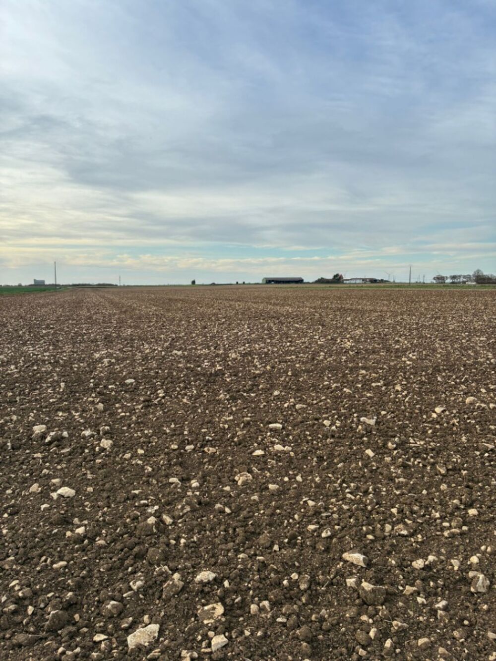 vente Terrain - 281 m² Angliers (17540)
