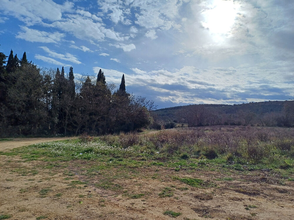 vente Terrain - 625 m² Thuir (66300)