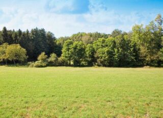  Terrain  vendre 510 m