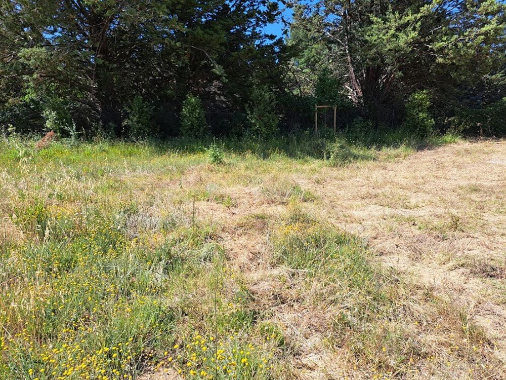 vente Maison - 6 pièce(s) - 130 m² Peynier (13790)