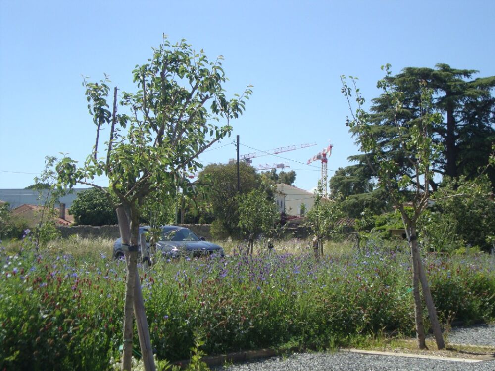 vente Terrain - 255 m² Hyères (83400)