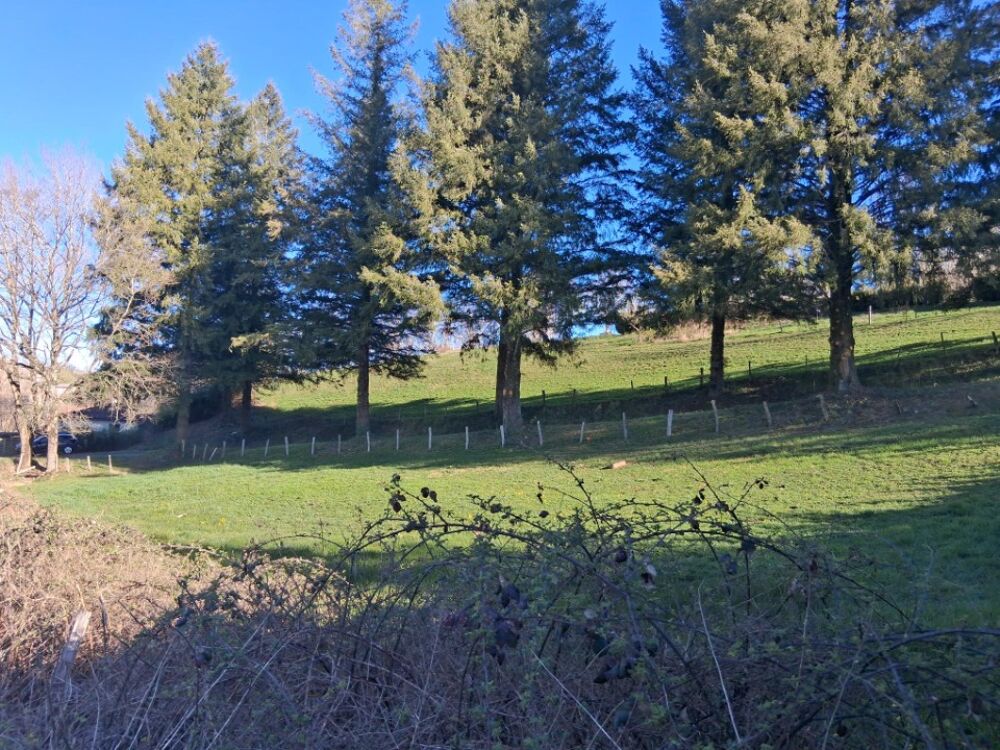 vente Terrain - 1630 m² Reilhac (15250)